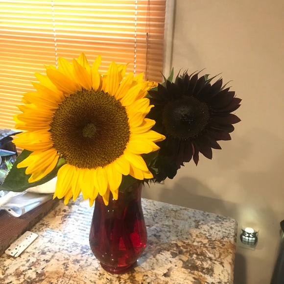 Meet your Posher, Lauryce - Picture 11 of 13